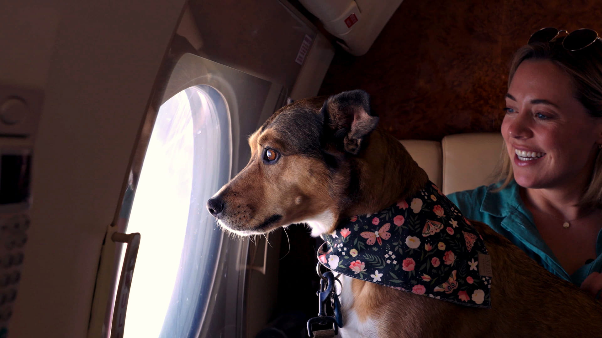 K9 Jets